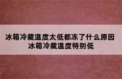 冰箱冷藏温度太低都冻了什么原因 冰箱冷藏温度特别低